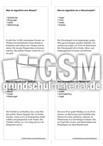 Quiz-Karten-Tiernamen 8.pdf